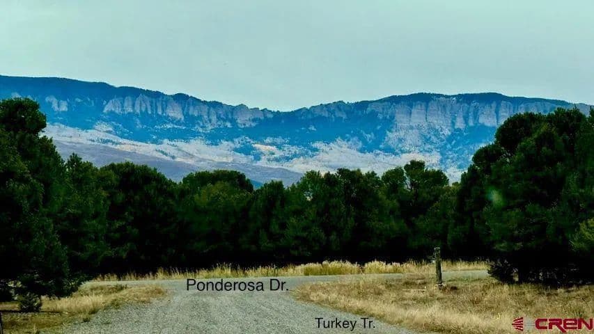 Property from Lot 13G Ponderosa Drive - KW - Ridgway, Colorado, 81432