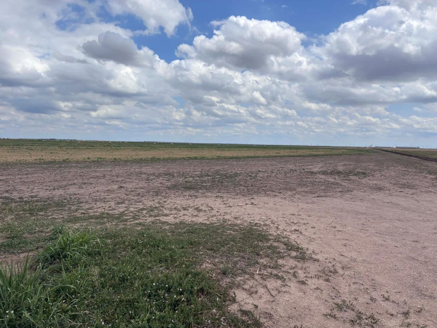 Productive Half Section with 600 GPM Irrigation - Guymon, Oklahoma, 73942