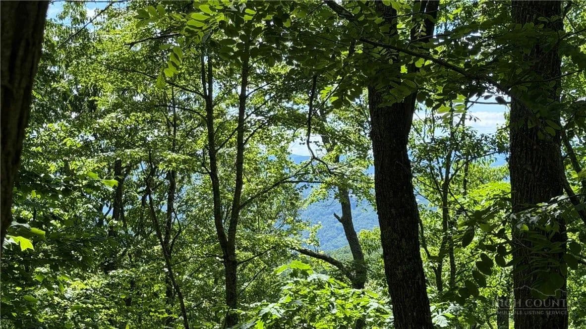 Property from TBD Newbiggin - KW - Boone, North Carolina, 28607