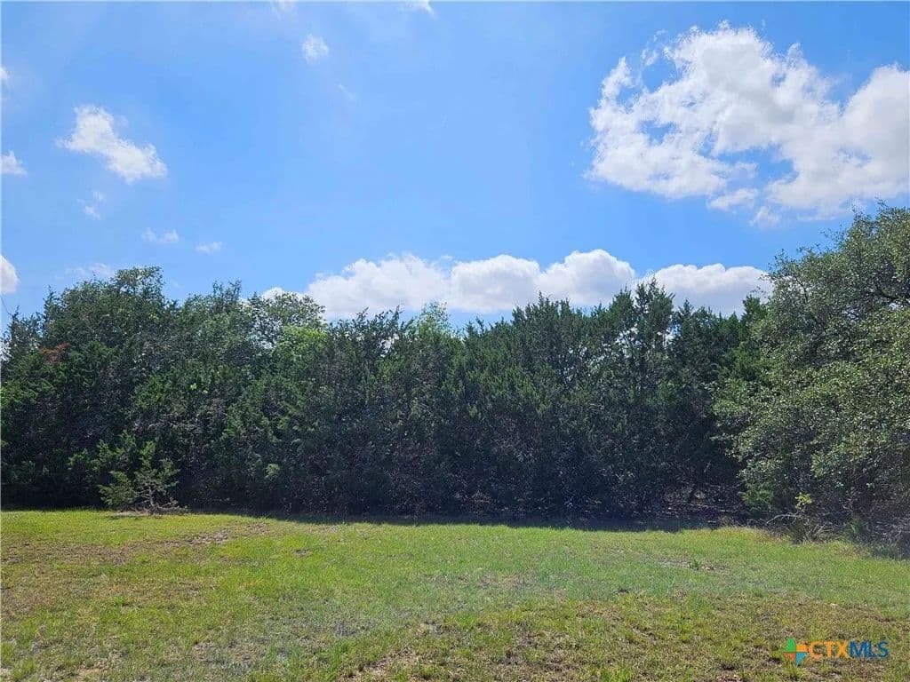 2.01 Acres of Land for Sale in Blanco, Texas - Blanco, Texas, 78606
