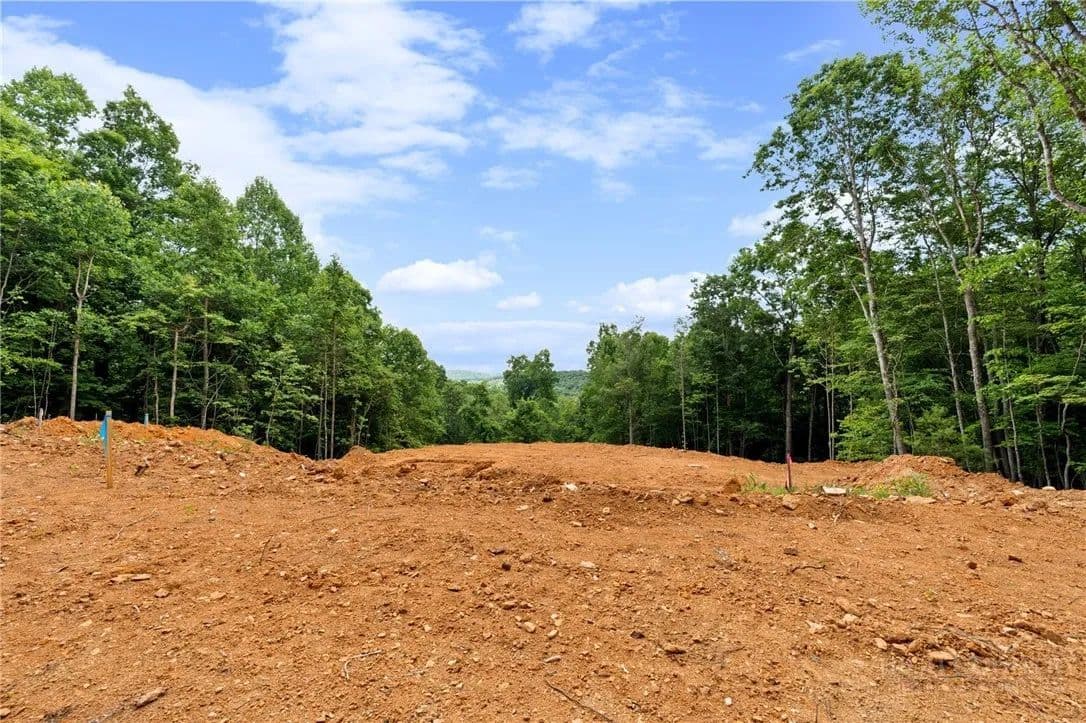 10.48 Acres of Land for Sale in Todd, NC - Todd, North Carolina, 28684