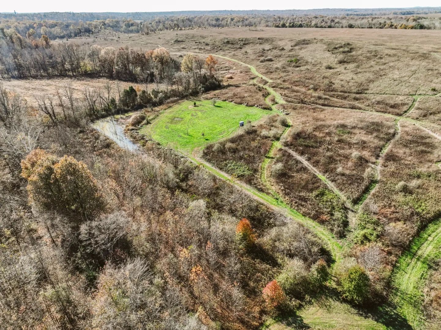 40.34 Acres in Ohio County, KY - Rockport, Kentucky, 42369