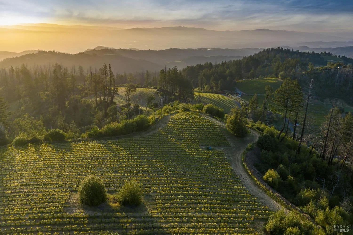 Property from 3801 Mount Veeder Road Road - KW - Napa, California, 94558