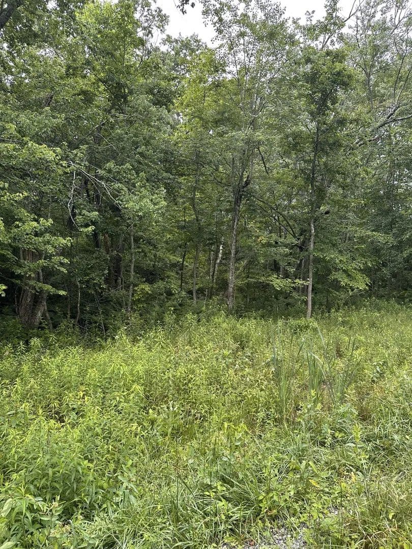 Property from 3119 Crow Dr - KW - Crossville, Tennessee, 38572
