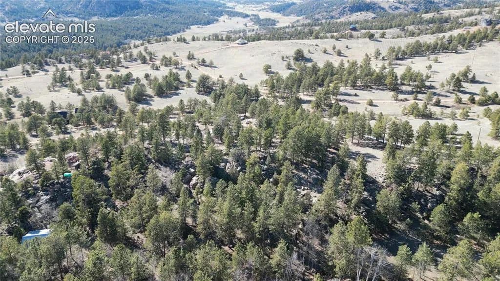 3 Acres of Land for Sale in Florissant, CO - Florissant, Colorado, 80816