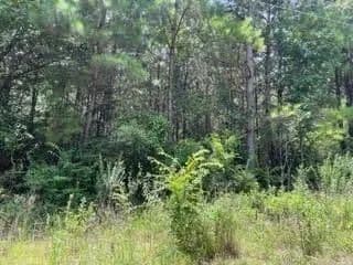 Vacant Land in Pittsburg - land for sale
