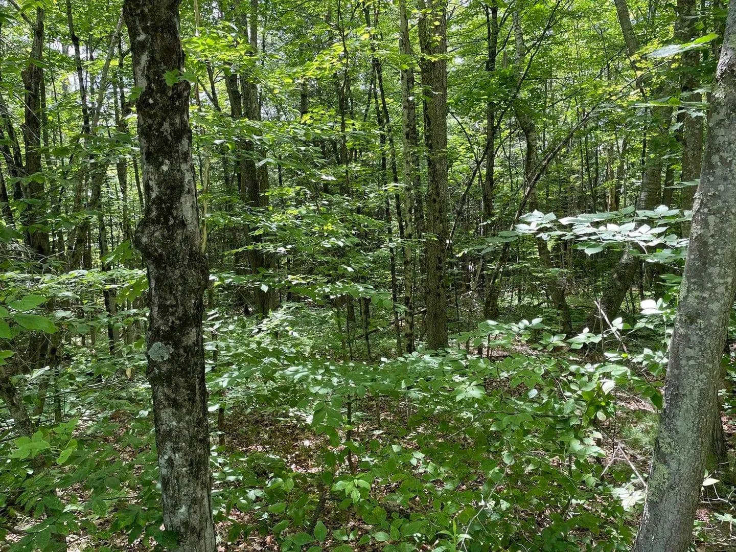 Property from 4-18-3 Old Peterborough Road - KW - Dublin, New Hampshire, 3444