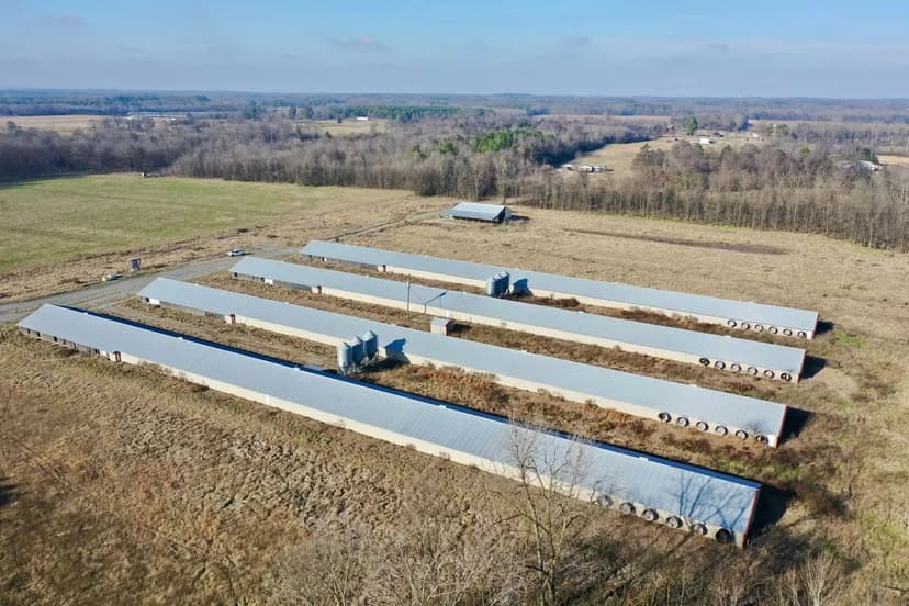TC343 Broiler Farm – Four House Farm w/pasture in Lawrence County, Alabama