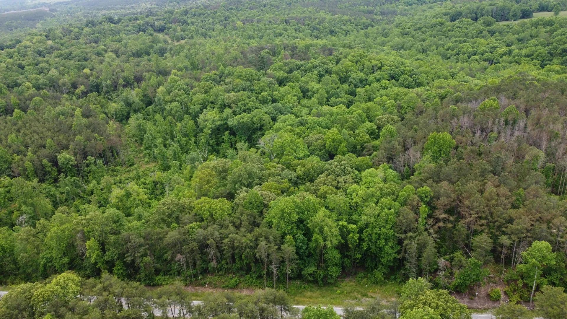 Property from AL-243 - KW - Phil Campbell, Alabama, 35581