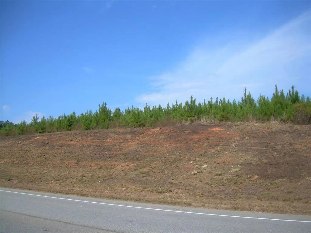 Land -Agricultural (Not Zoned) in Thomaston - Thomaston, Georgia, 30286