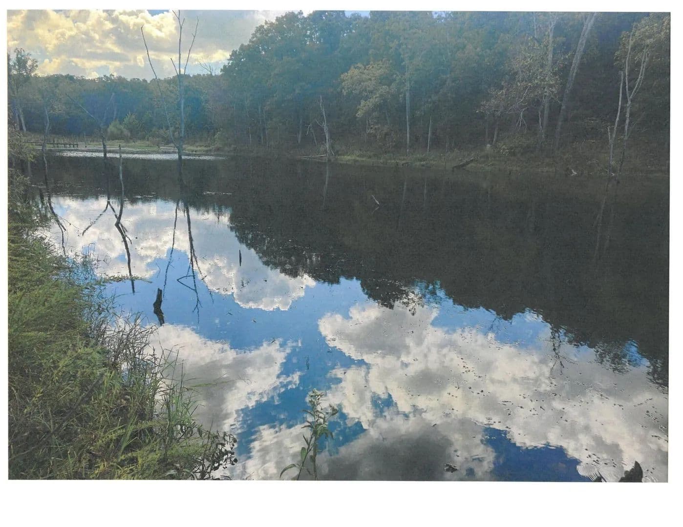 64 Acres of Land for Sale in Lebanon, MO - Lebanon, Missouri, 65536