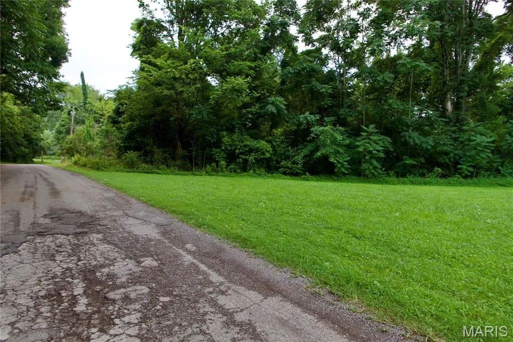 0.64 Acres of Land for Sale in Chaffee, MO - Chaffee, Missouri, 63740