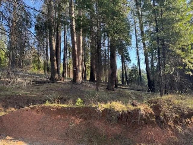 0.77 Acres of Land for Sale in Grizzly Flats, CA - California, 95636
