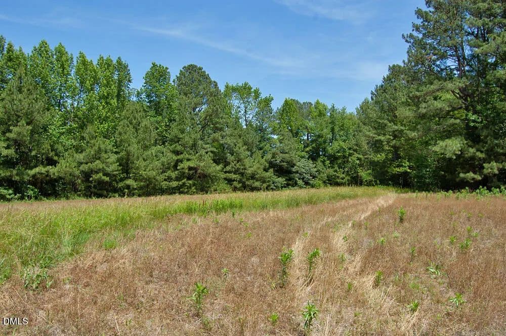 Property from B G F Ball Road - KW - Louisburg, North Carolina, 27549