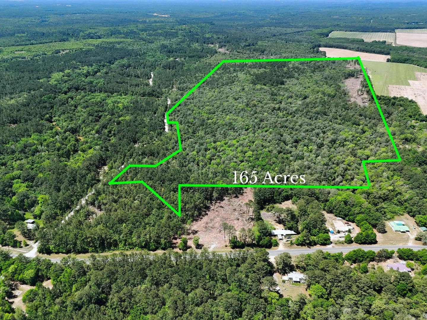 165 Acres of Land for Sale in Defuniak Springs, Florida - Defuniak Springs, Florida, 32433