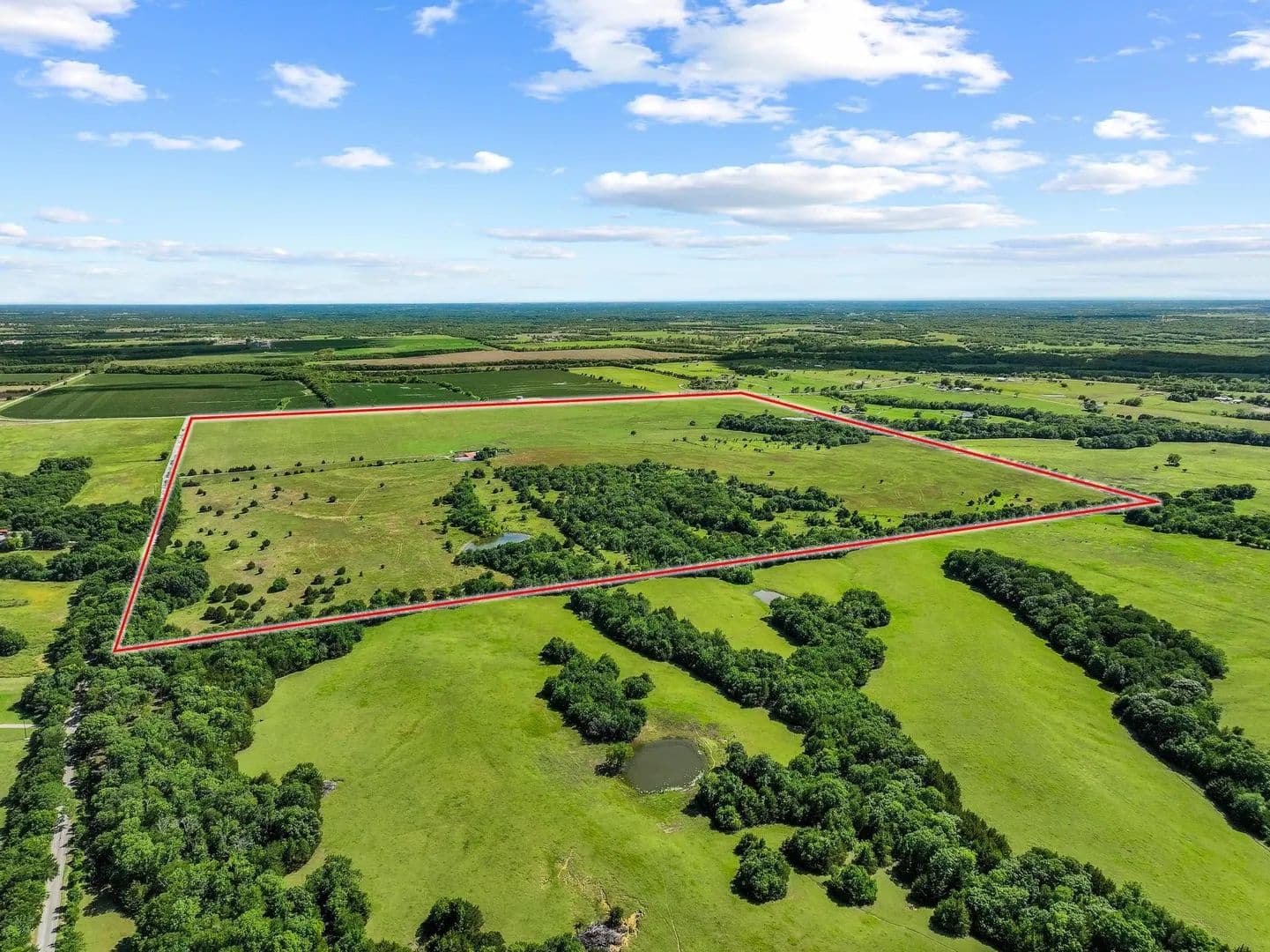 244.42 Acres of Land for Sale in Whitewright, TX - Whitewright, Texas, 75491