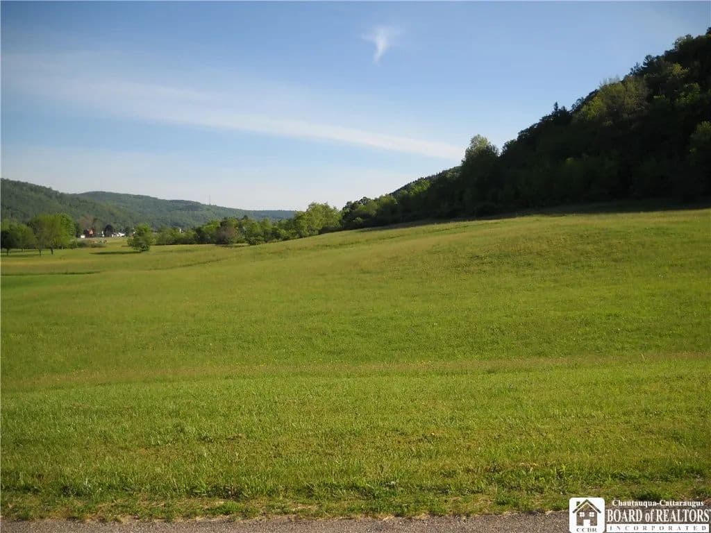 Property from NO # LOT 1 Mcclure Hollow Road - KW - Allegany, New York, 14706