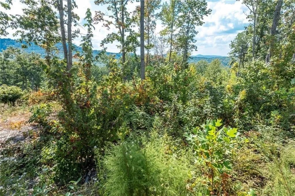 Lots & Land-Other in Talking Rock - land for sale