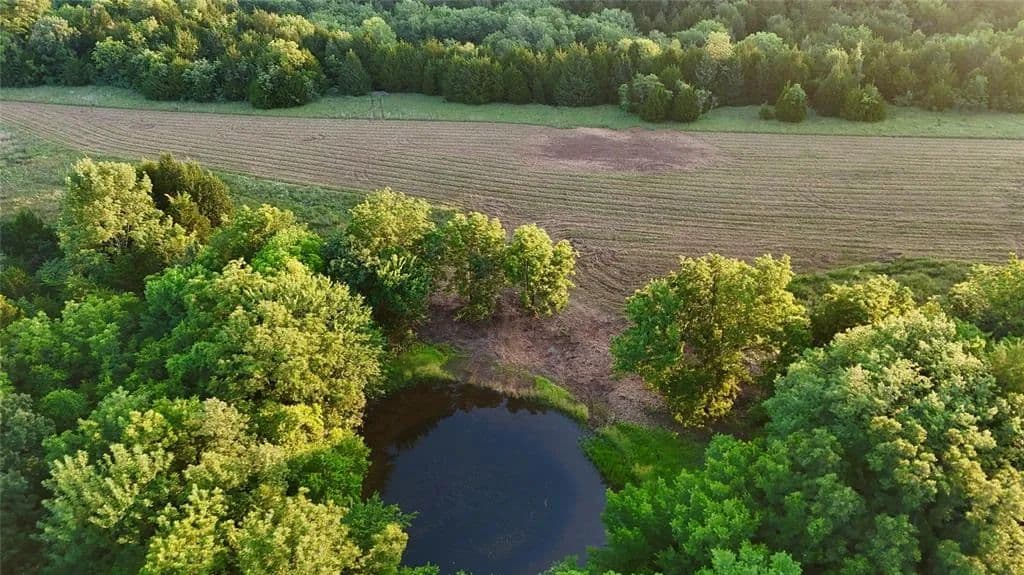 40 Acres of Land for Sale in Earlsboro, Oklahoma - Earlsboro, Oklahoma, 74840