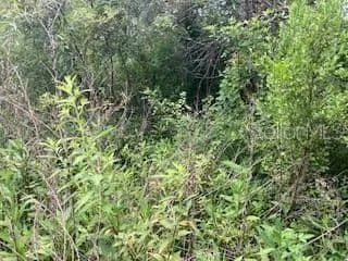 Property from SWEETWATER TRAIL - KW - Kissimmee, Florida, 34747