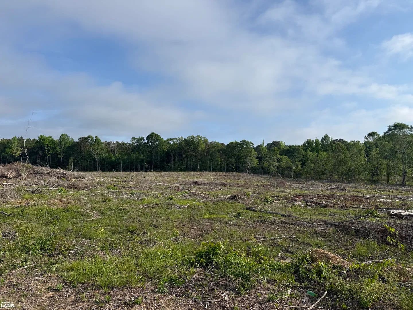Highway 171 Homesite and Hunting Tract - Fayette, Alabama, 35555