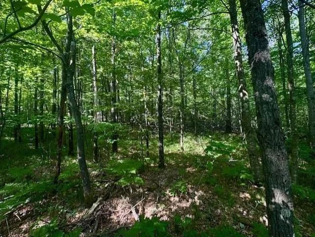 3.69 Acres of Land for Sale in Willard, Wisconsin - Willard, Wisconsin, 54493