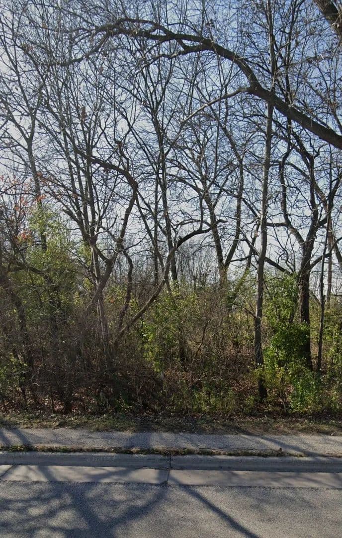 Vacant Land in Fox Lake - Fox Lake, Illinois, 60020