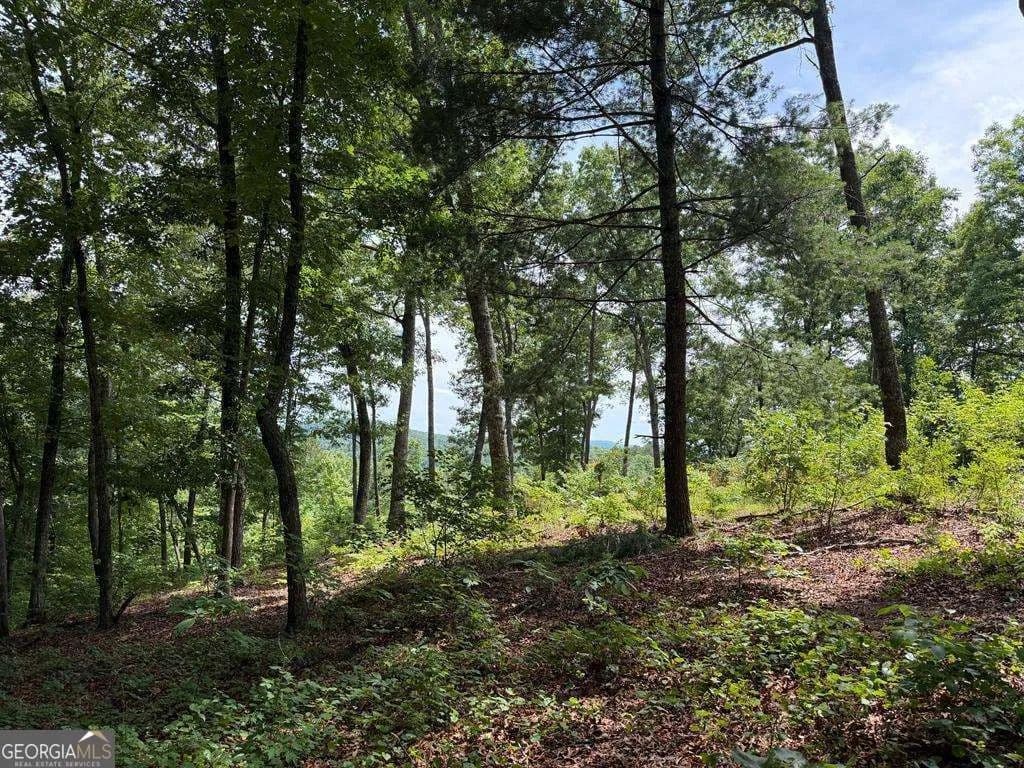 1.28 Acres of Land for Sale in Ellijay, GA - Ellijay, Georgia, 30540