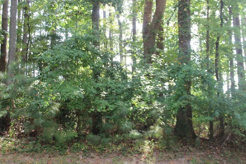 Property from 146 Captains Corridor #146 - KW - Greenbackville, Virginia, 23356