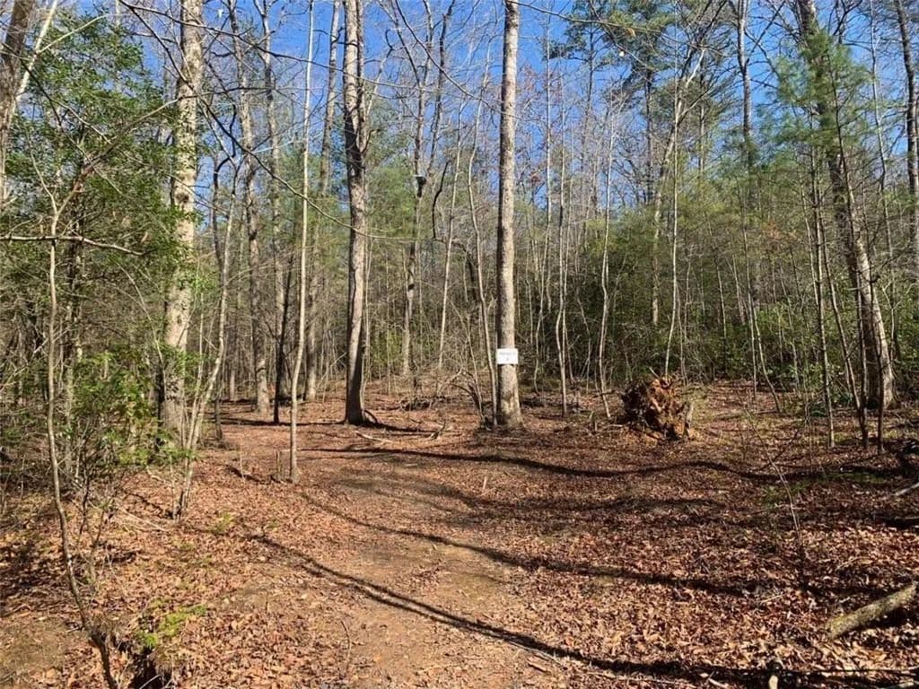 Property from TRACT2 E New Hope Road E - KW - Ellijay, Georgia, 30536