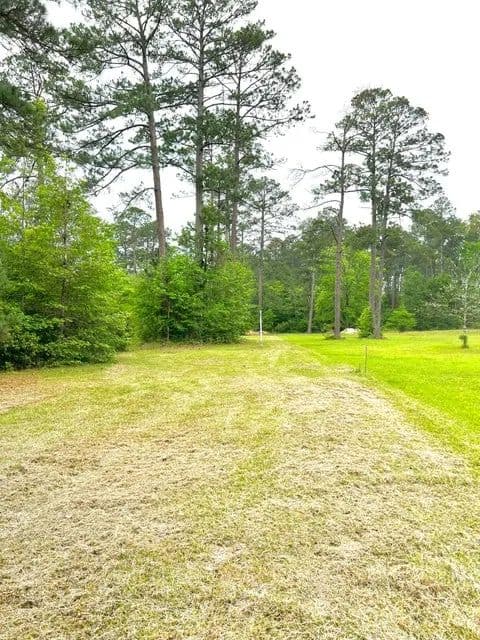 Land -Single Family Acreage in Deridder - Deridder, Louisiana, 70634
