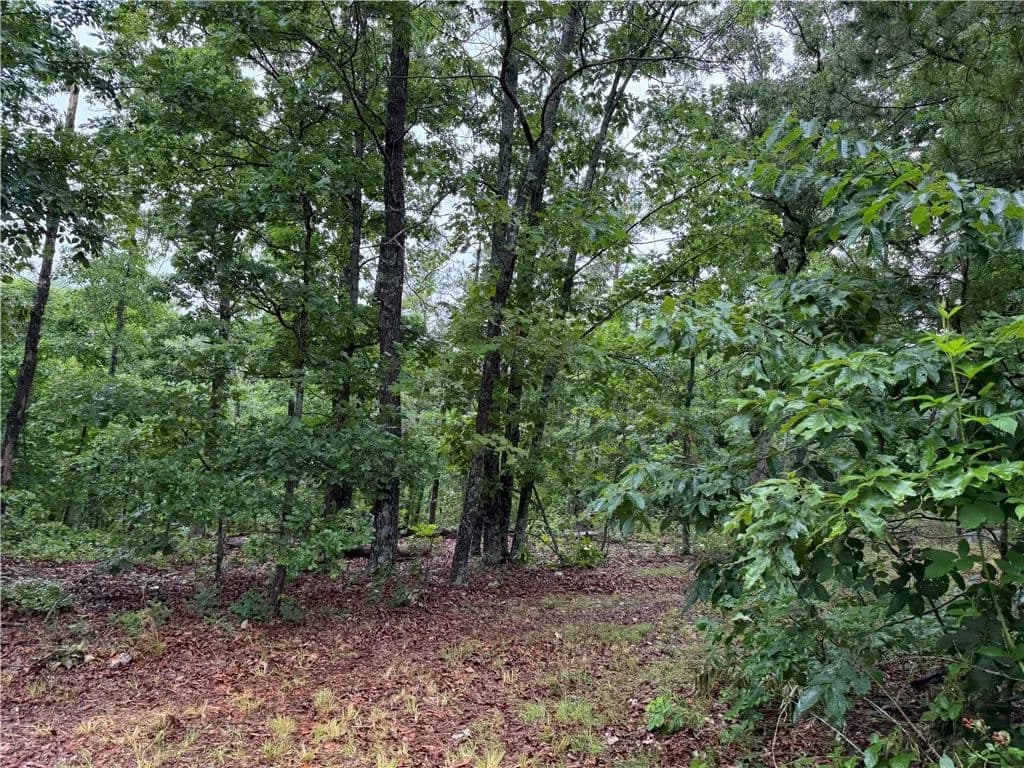 20 Acres of Land for Sale in Harrison, Arkansas - land for sale
