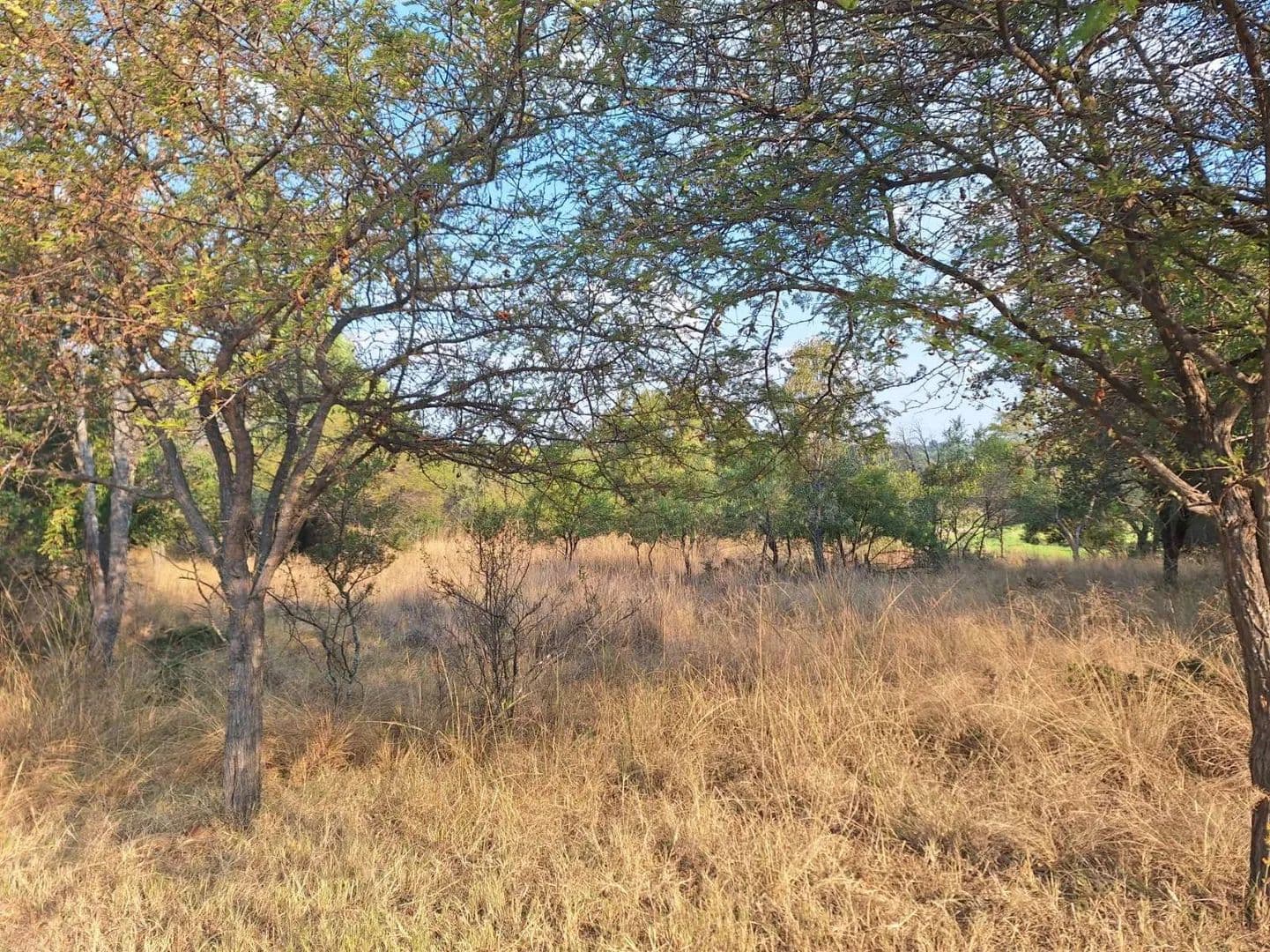 1500 Acres of Land for Sale in Modimolle, Limpopo - land for sale