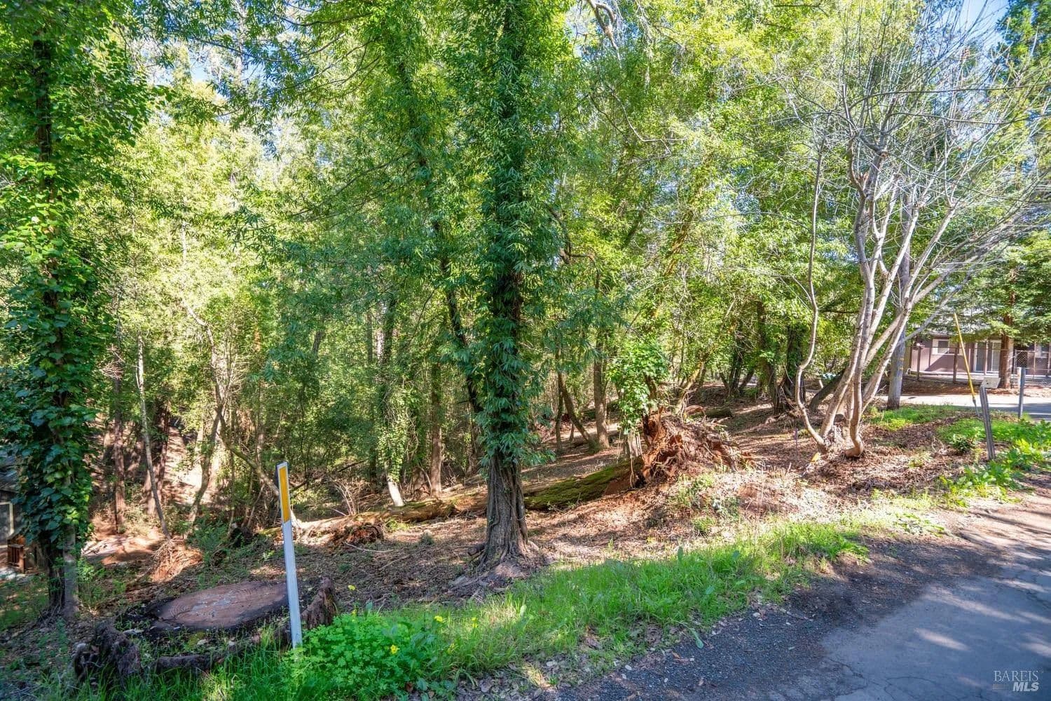0.22 Acres of Land for Sale in Forestville, California - Forestville, California, 95436