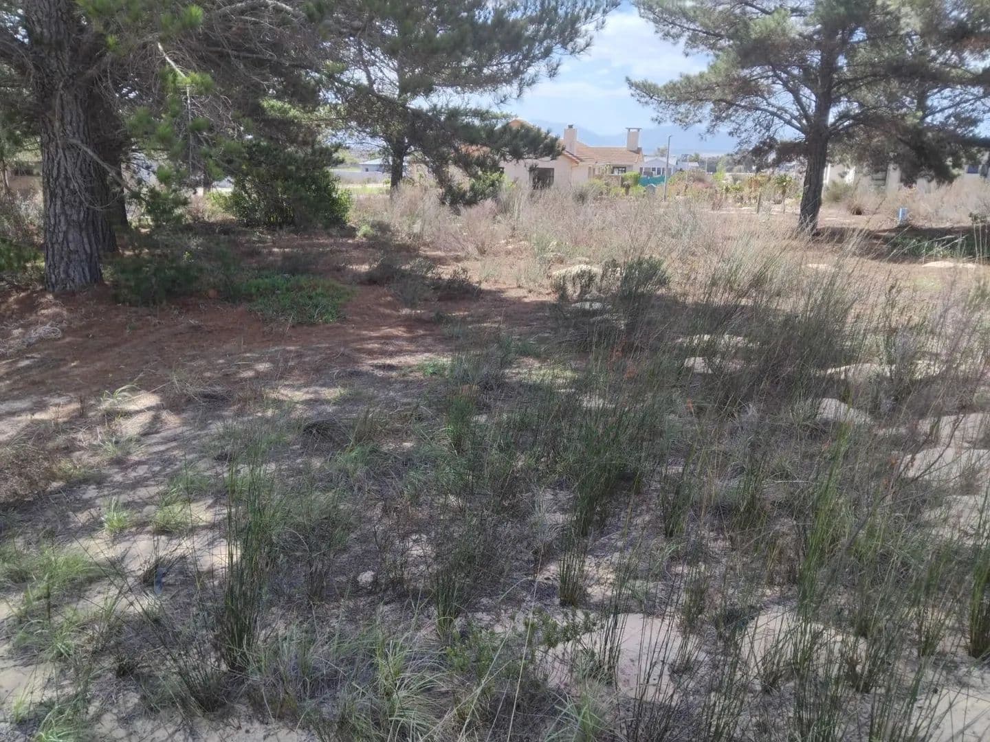 385 Acres of Land for Sale in Albertinia, Western Cape - land for sale