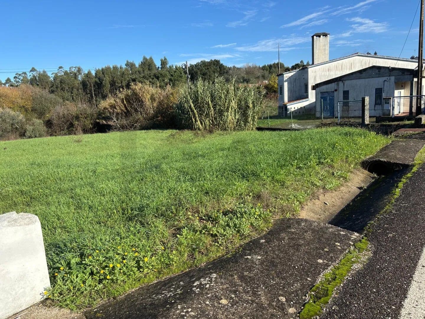 760 Acres of Land for Sale in Olalhas, Tomar - land for sale