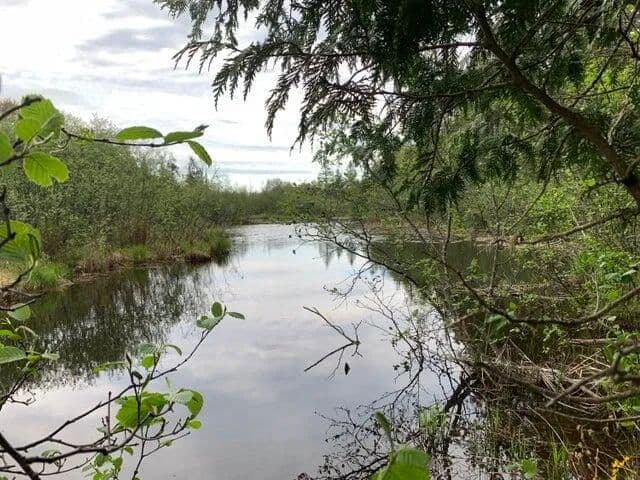 2.2 Acres of Land for Sale in Moran, MI - Moran, Michigan, 49760