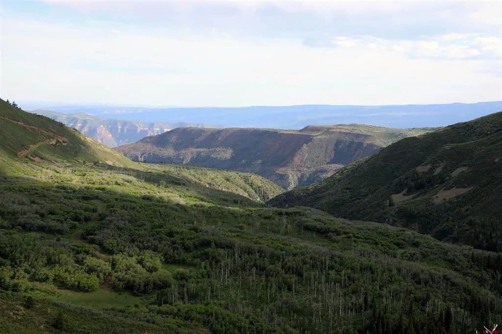 Property from TBD MS Road - KW - Glade Park, Colorado, 81522