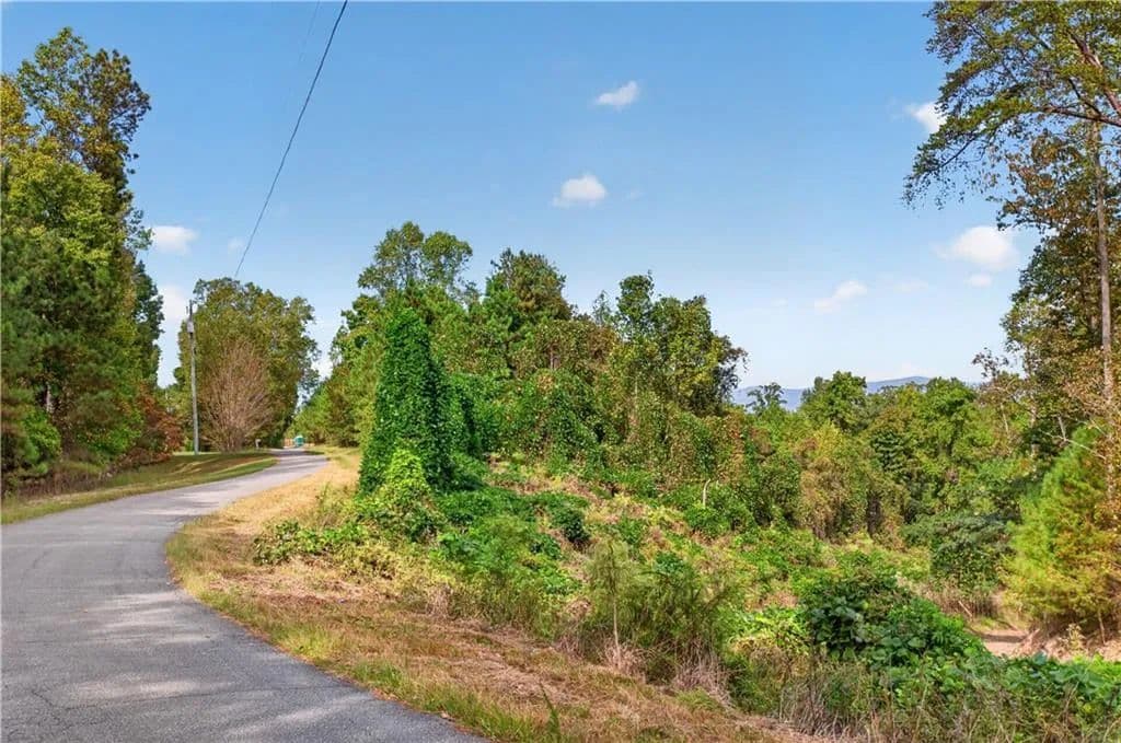 Vacant Land in Ball Ground - Ball Ground, Georgia, 30107