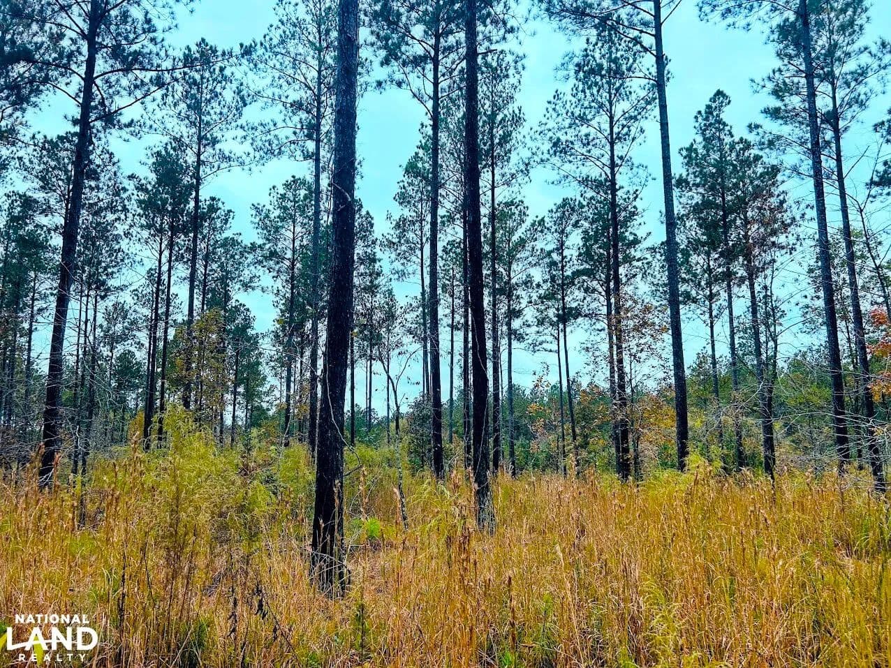 Whispering Pines at Long Creek - Lexington, Georgia, 30648