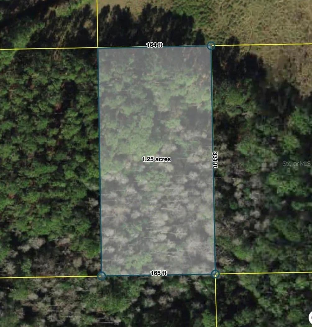 Property from POLK CITY - KW - Polk City, Florida, 33868