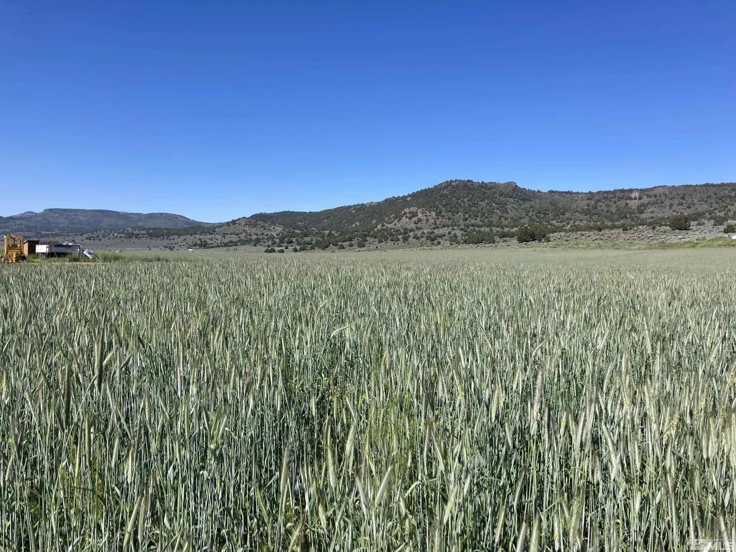 Property from 11069 Mosquito Road - KW - Gerlach, Nevada, 89412