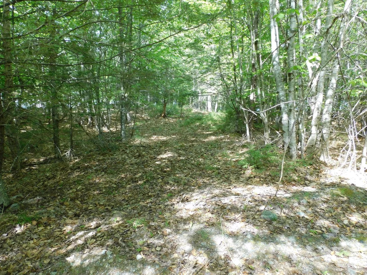 1.15 Acres of Land for Sale in Washington County, Maine - Maine, 04668