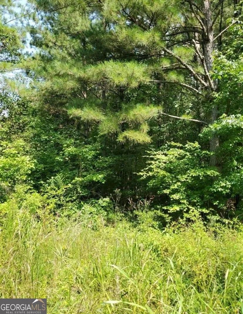 Vacant Land in Aragon - land for sale