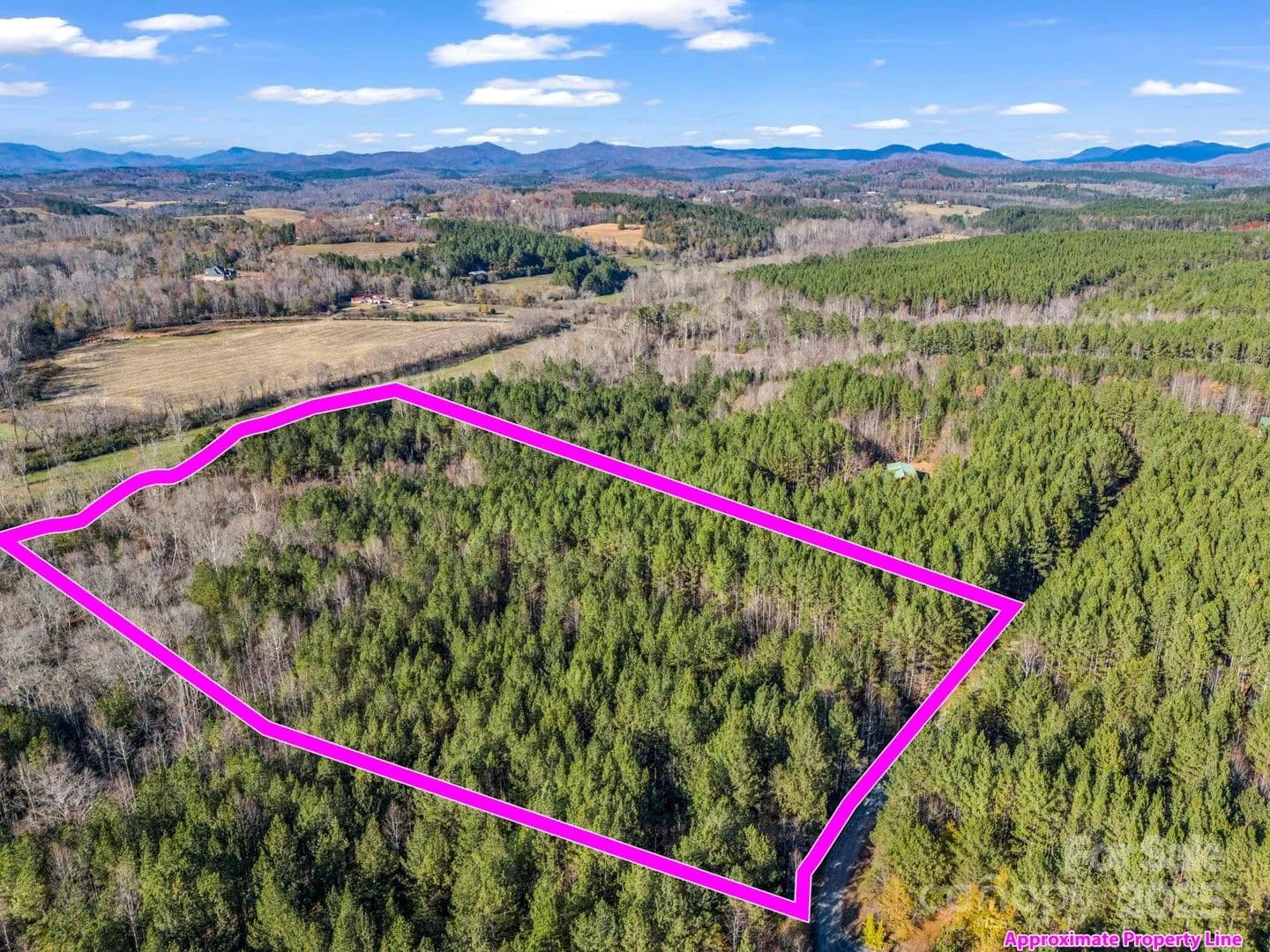 Lots & Land-Other in Rutherfordton - Rutherfordton, North Carolina, 28139