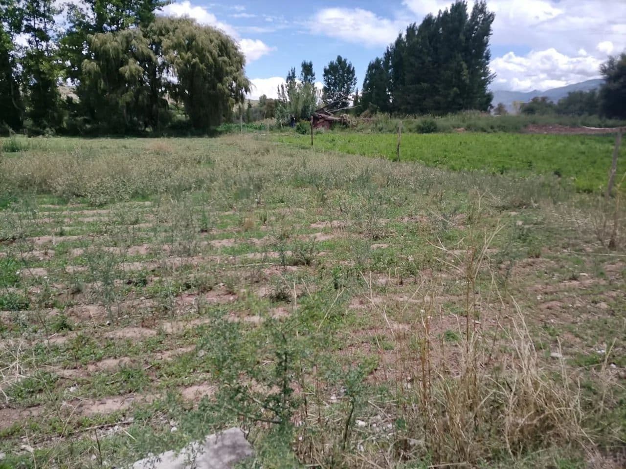 VENDO TERRENO- VILLA MERCEDES - PAYOGASTA - CACHI, SALTA - Argentina