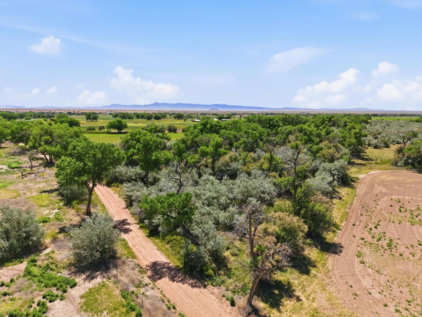 Property from MRGCD MAP 124 TRACT 24A1A,22A,23A - KW - Veguita, New Mexico, 87062