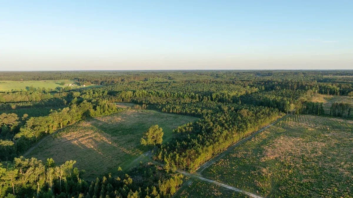 Beulah Longleaf Plantation - Sylvania, Georgia, 30467