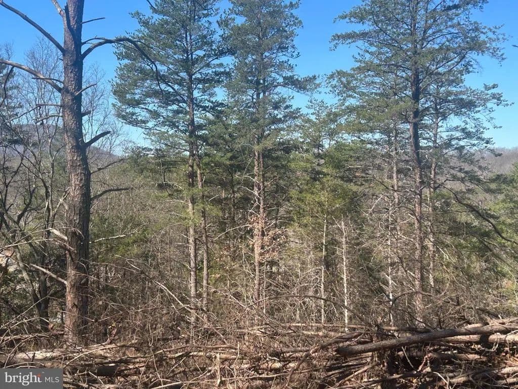 Property from ANDREWS ROAD - KW - Strasburg, Virginia, 22657