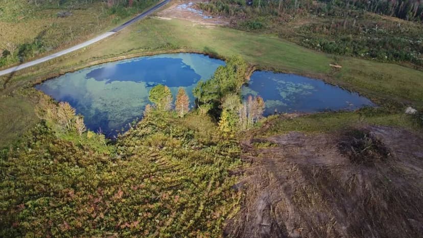 70 Acres on Blakely Creek